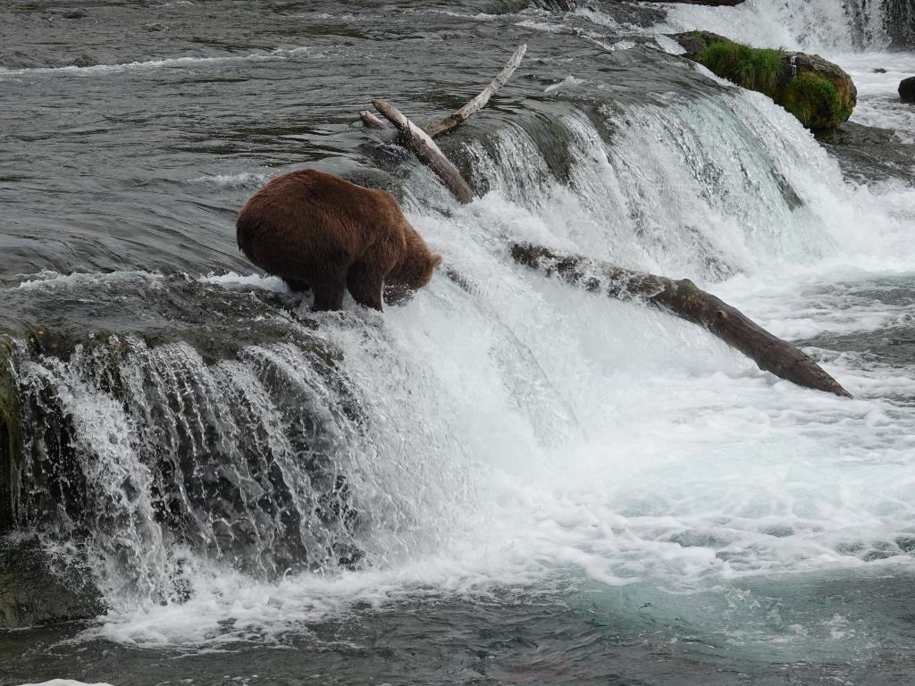 388 - 20190904 Day01 Katmai