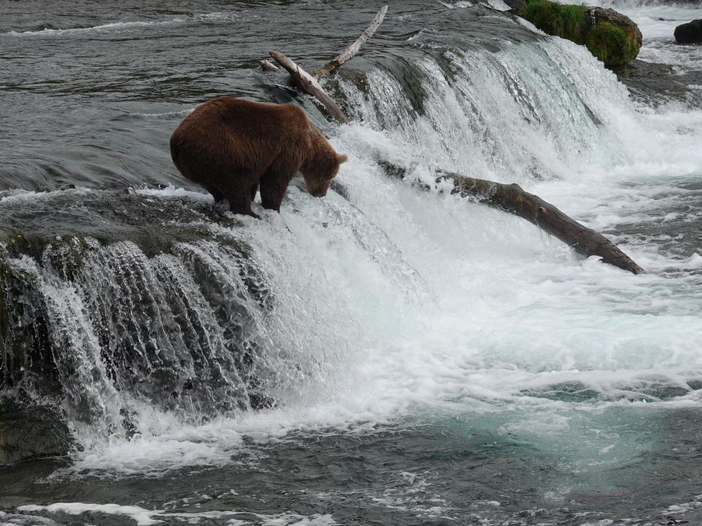 408 - 20190904 Day01 Katmai