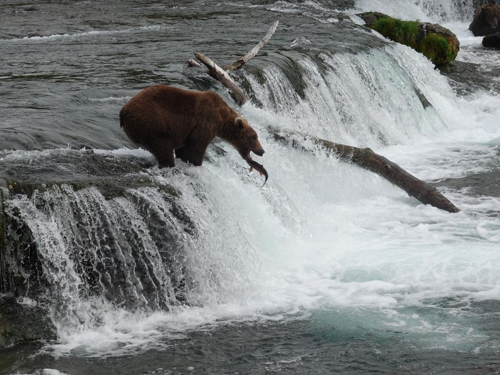 413 - 20190904 Day01 Katmai