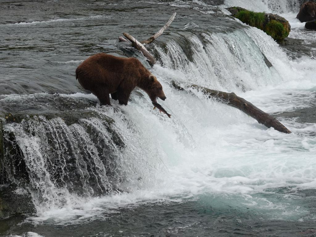 414 - 20190904 Day01 Katmai