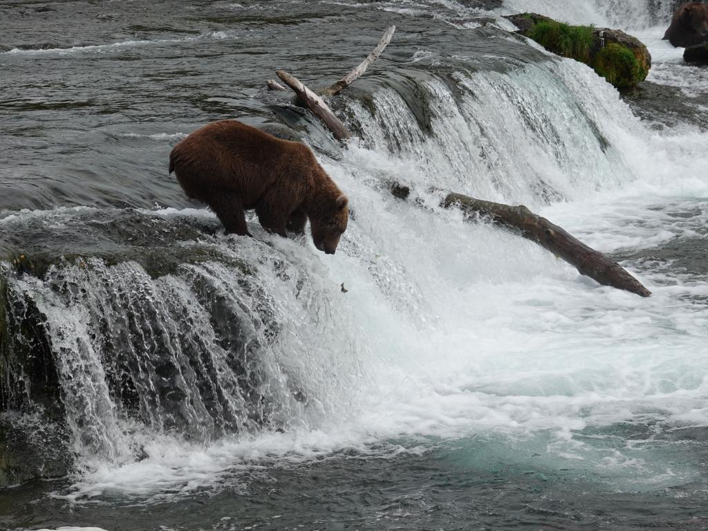 419 - 20190904 Day01 Katmai