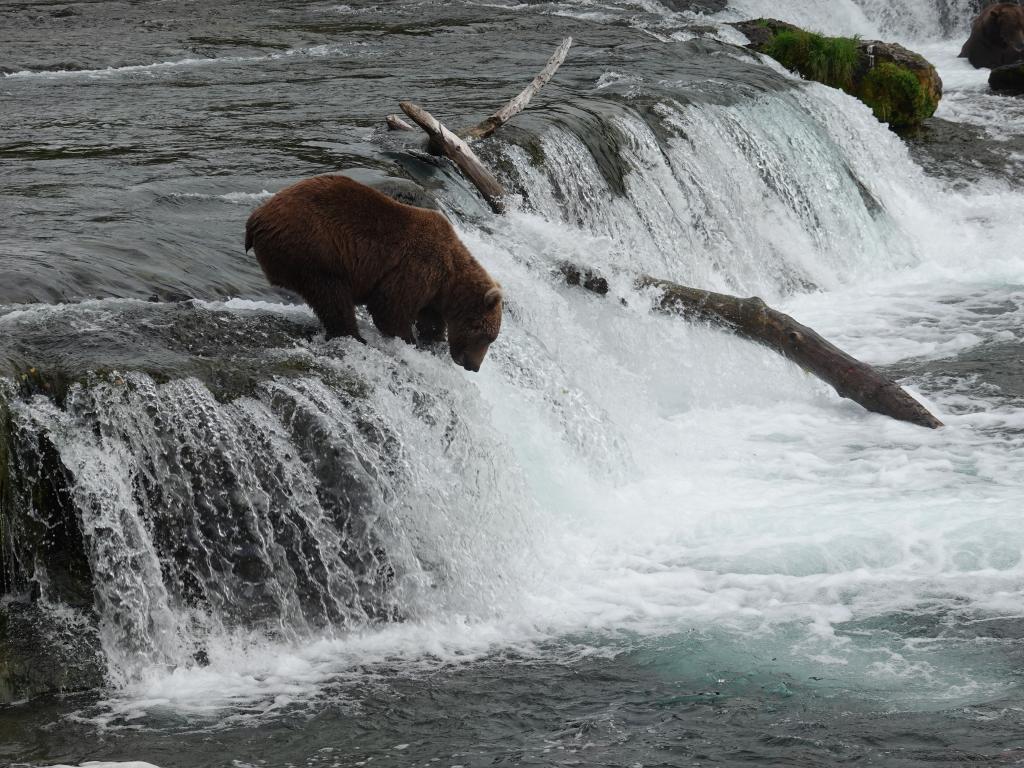 420 - 20190904 Day01 Katmai