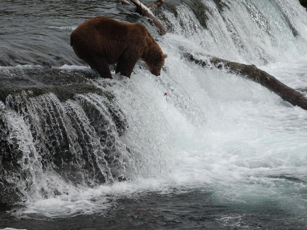 435 - 20190904 Day01 Katmai