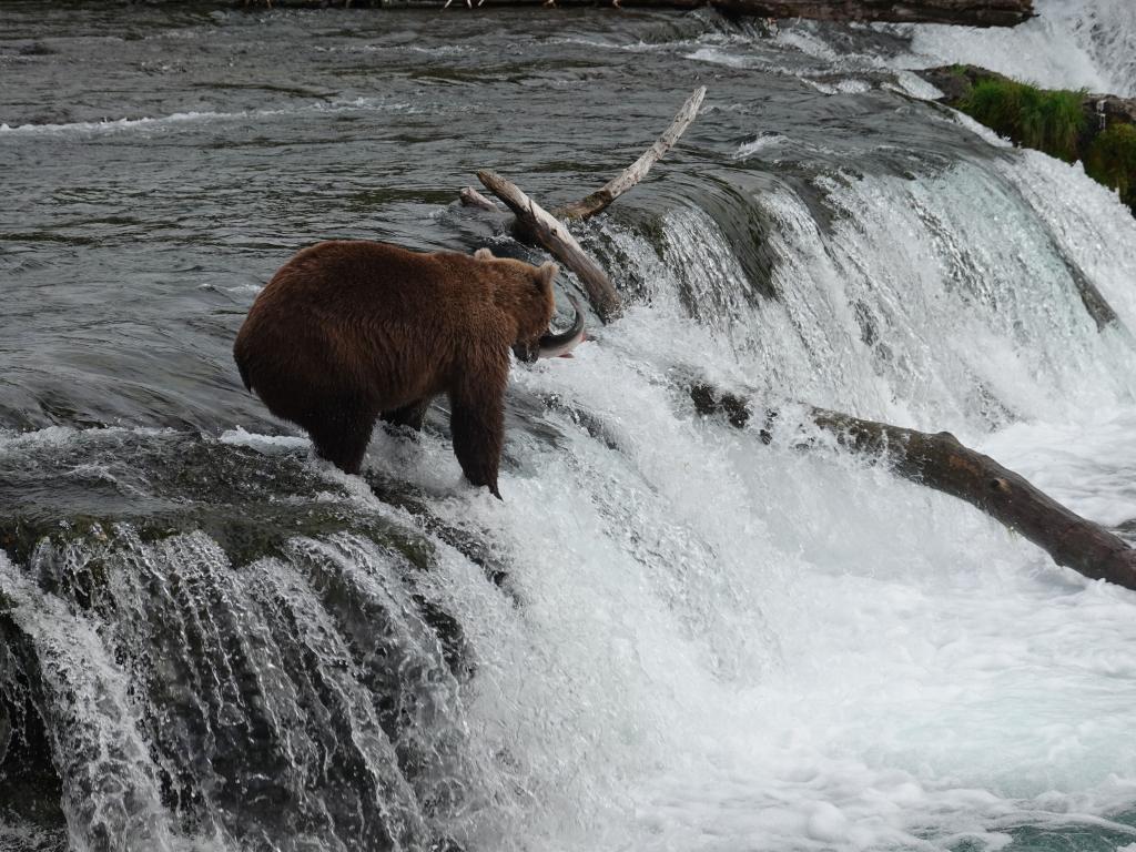 439 - 20190904 Day01 Katmai