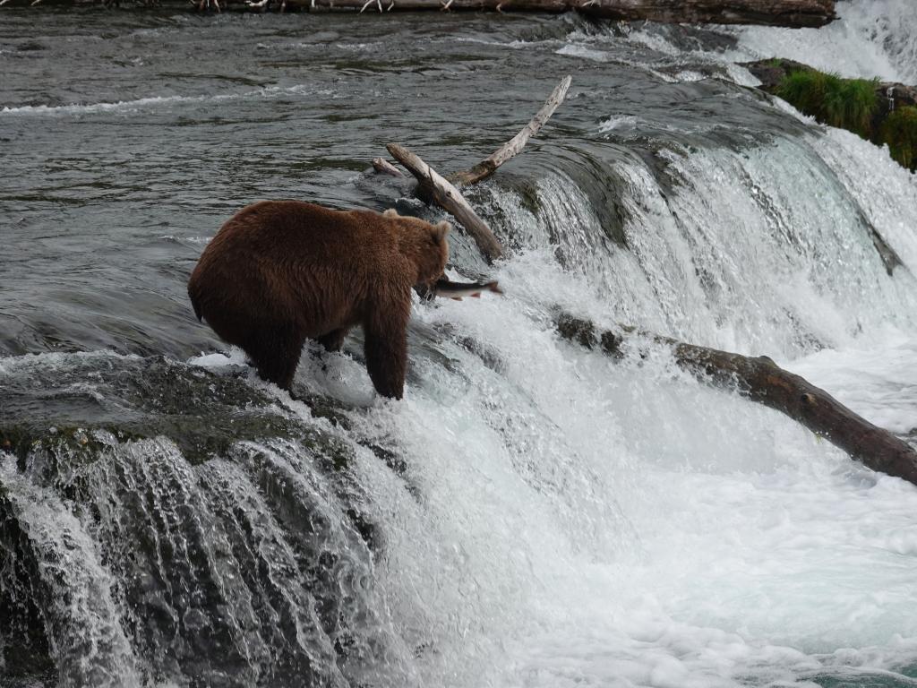 440 - 20190904 Day01 Katmai