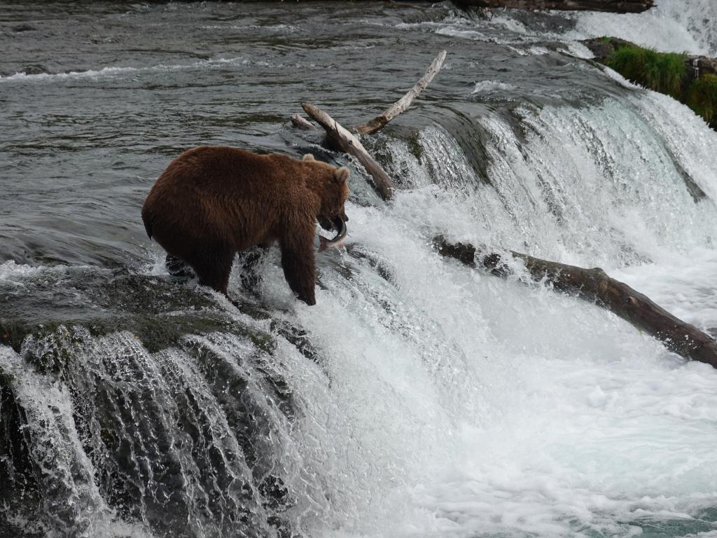 443 - 20190904 Day01 Katmai