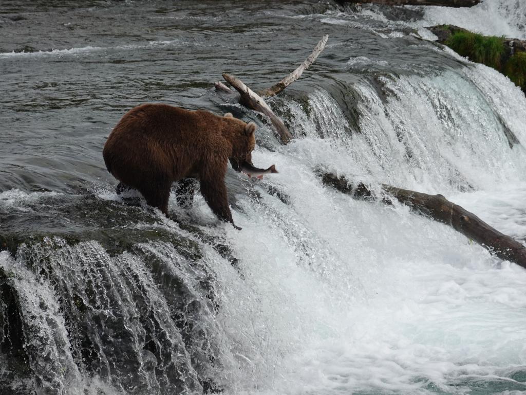 445 - 20190904 Day01 Katmai