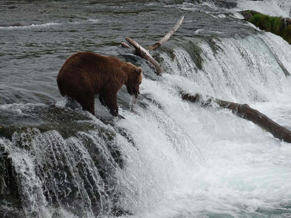 449 - 20190904 Day01 Katmai