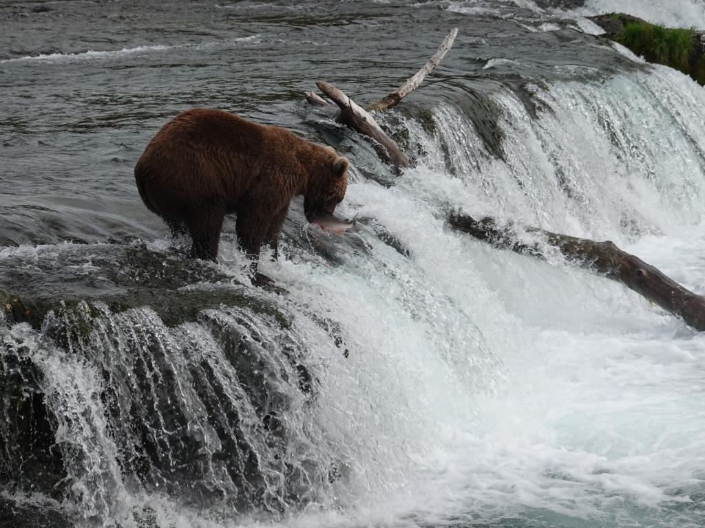 453 - 20190904 Day01 Katmai