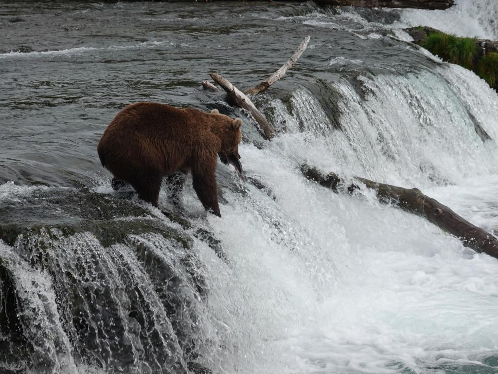 455 - 20190904 Day01 Katmai