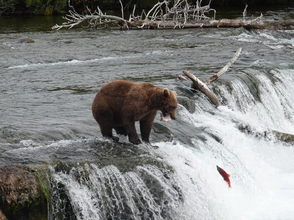 456 - 20190904 Day01 Katmai