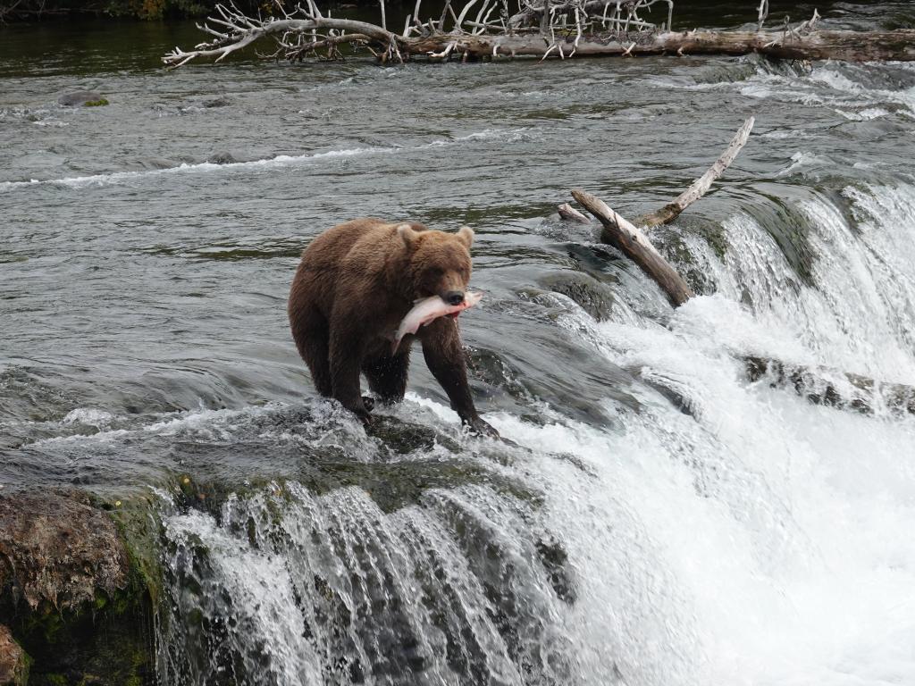 464 - 20190904 Day01 Katmai