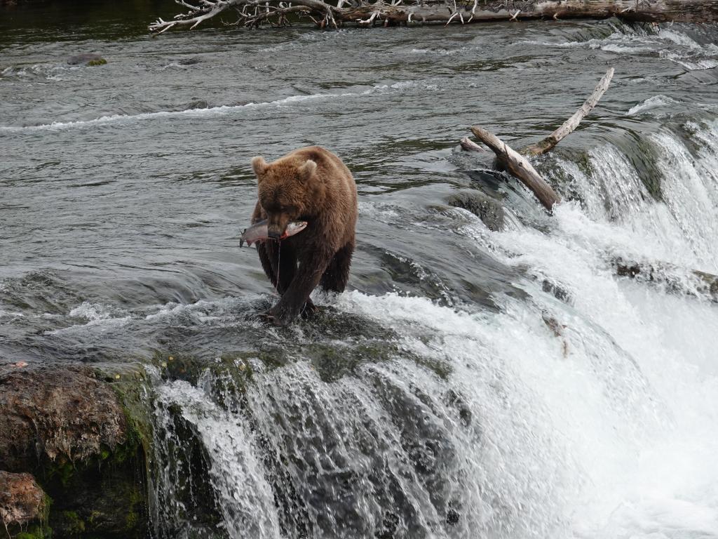 469 - 20190904 Day01 Katmai