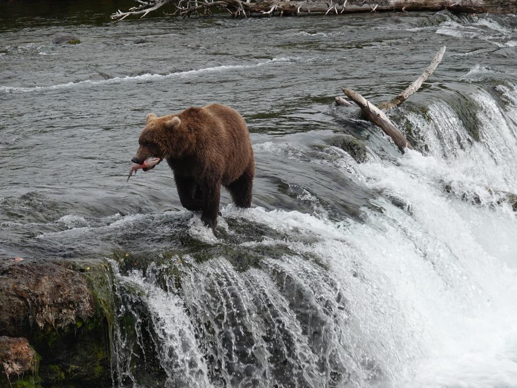 471 - 20190904 Day01 Katmai