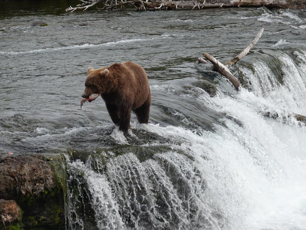 474 - 20190904 Day01 Katmai