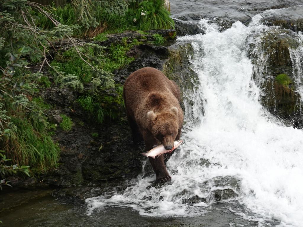 478 - 20190904 Day01 Katmai