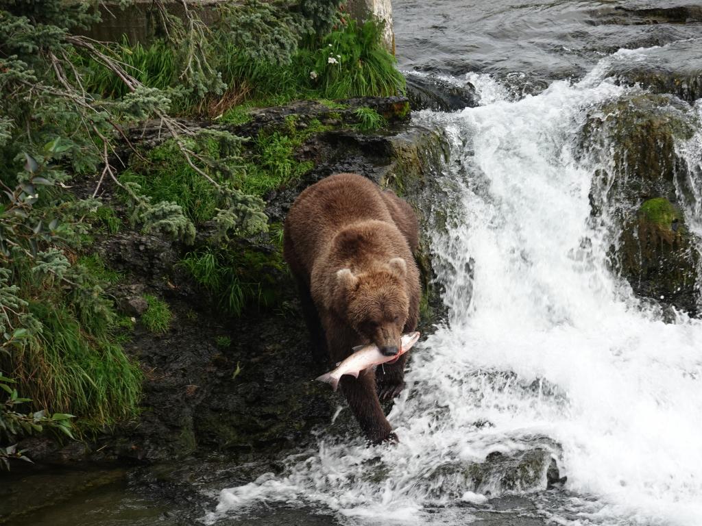 479 - 20190904 Day01 Katmai