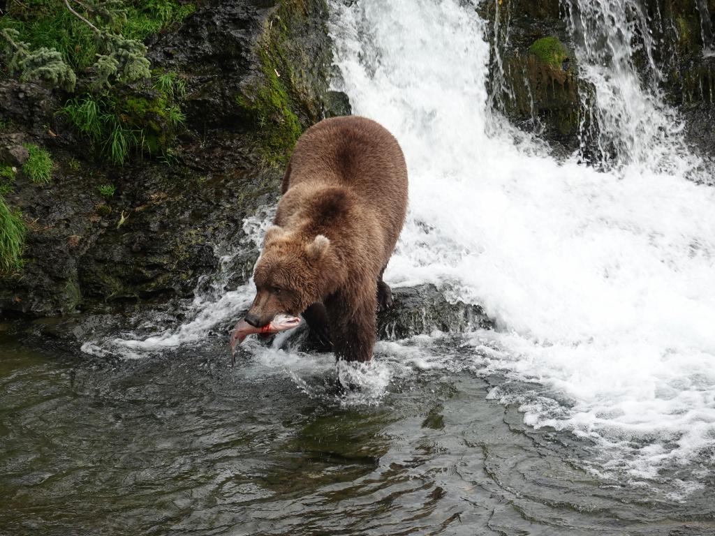 483 - 20190904 Day01 Katmai