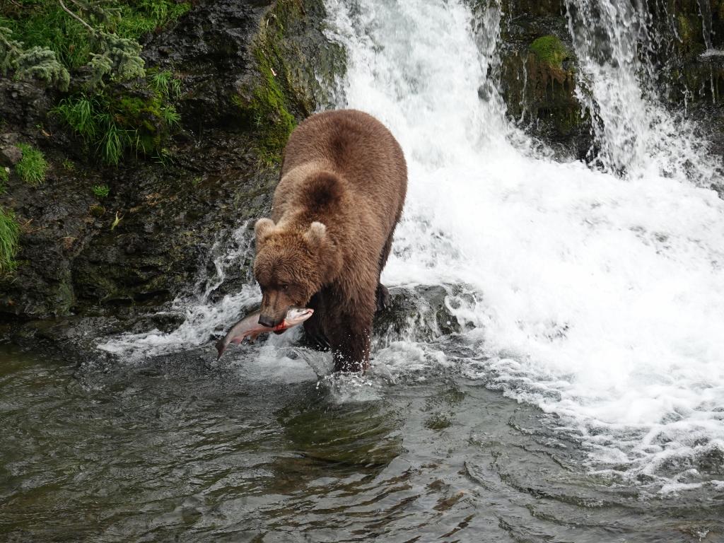 484 - 20190904 Day01 Katmai