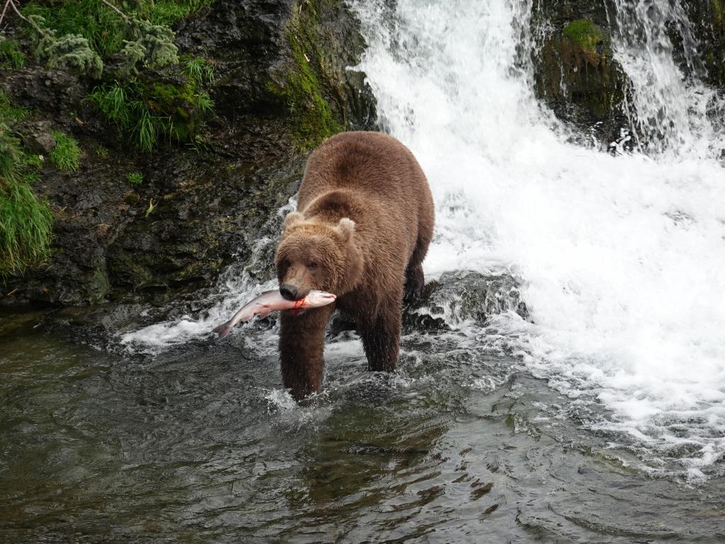 489 - 20190904 Day01 Katmai