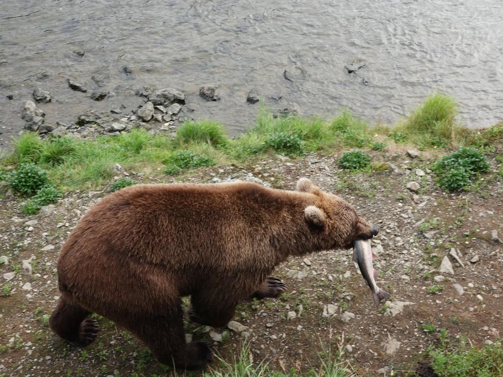 507 - 20190904 Day01 Katmai