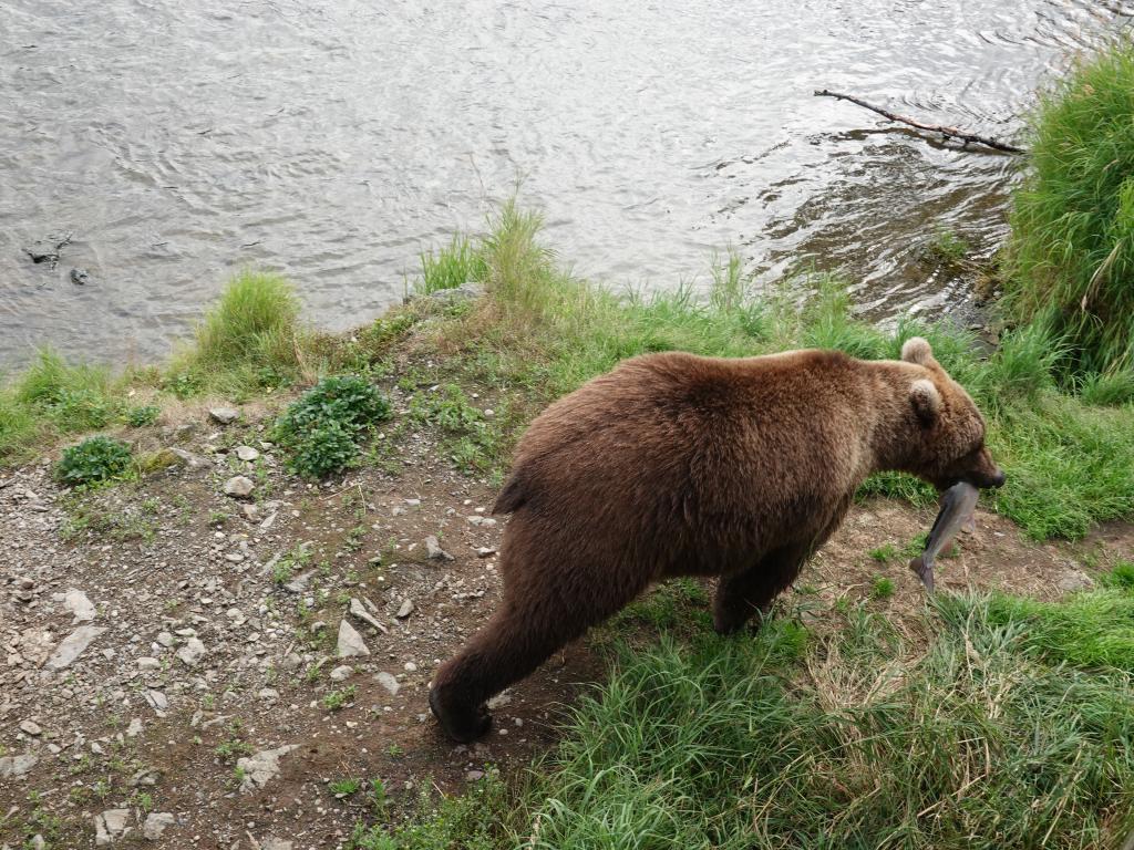 509 - 20190904 Day01 Katmai