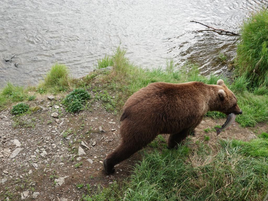 510 - 20190904 Day01 Katmai