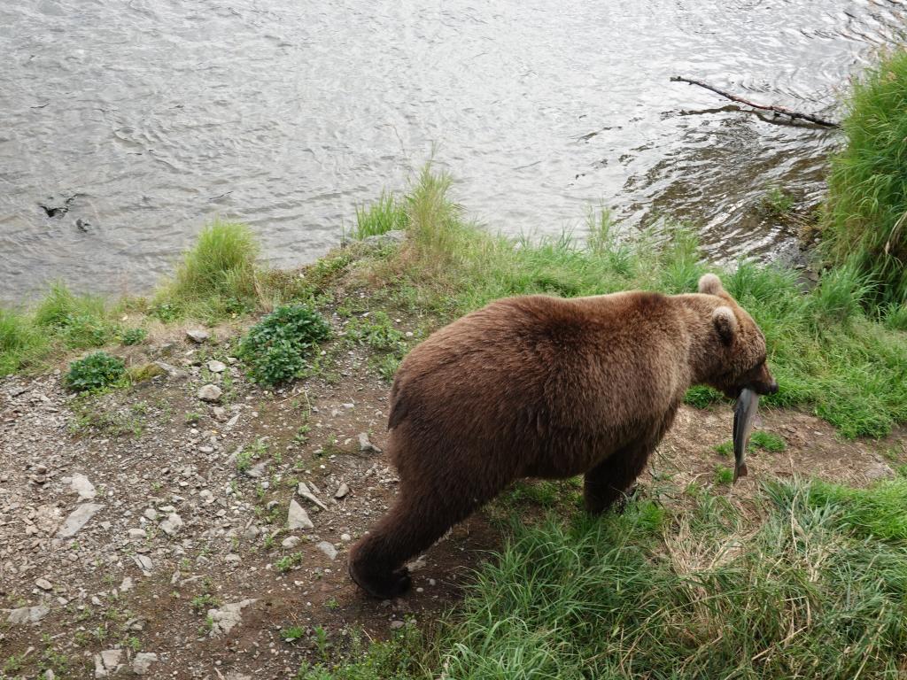 511 - 20190904 Day01 Katmai