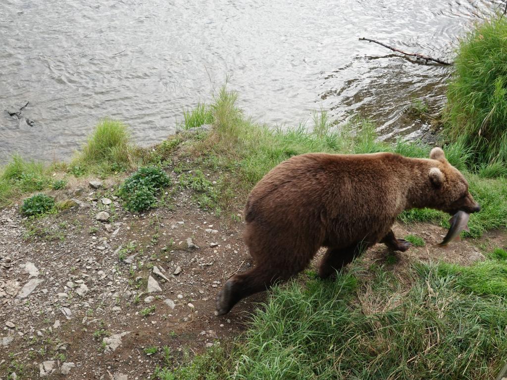 512 - 20190904 Day01 Katmai