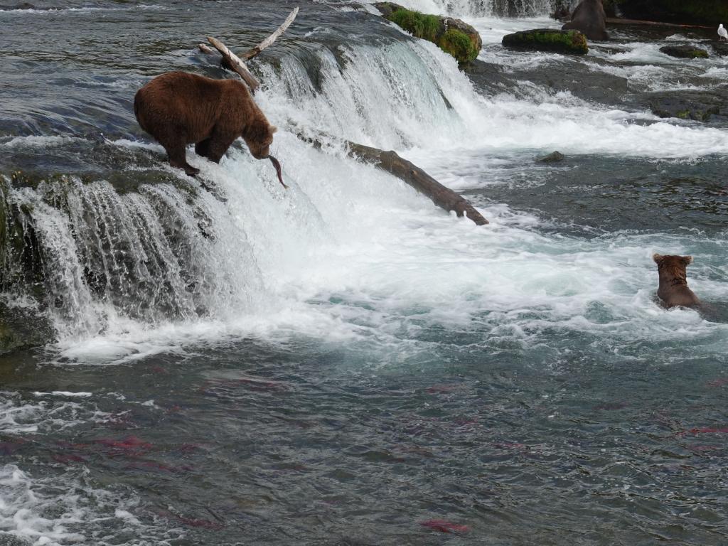 611 - 20190904 Day01 Katmai