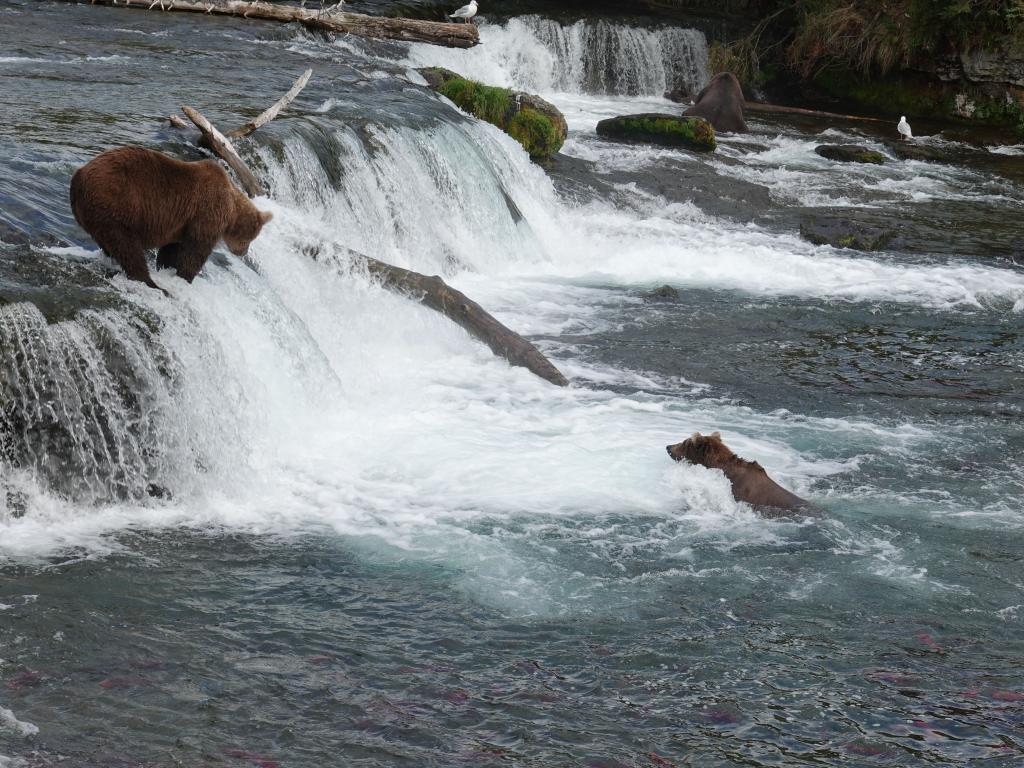 638 - 20190904 Day01 Katmai