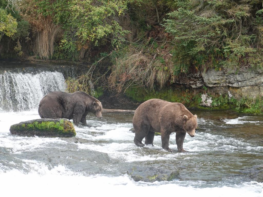 657 - 20190904 Day01 Katmai