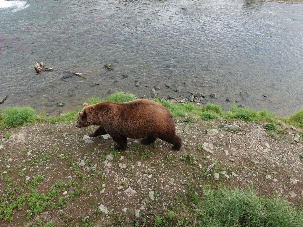 658 - 20190904 Day01 Katmai