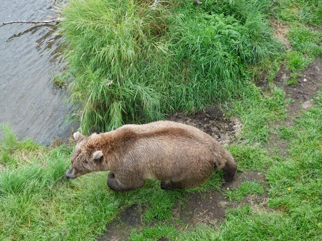 668 - 20190904 Day01 Katmai