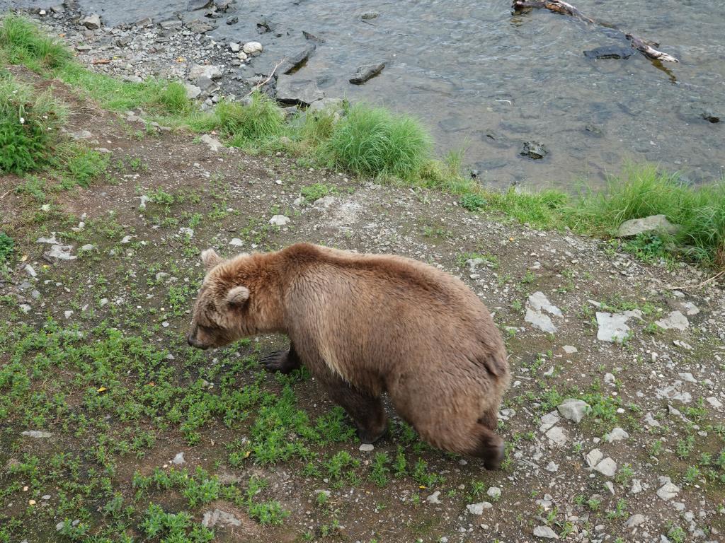 670 - 20190904 Day01 Katmai