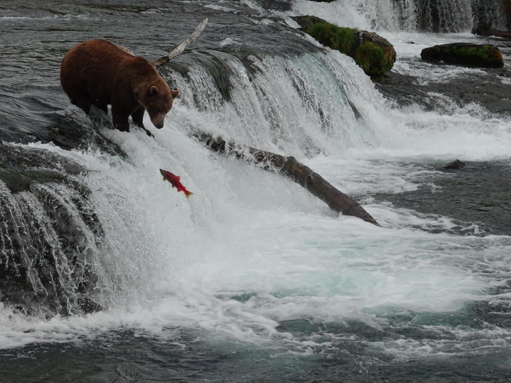 673 - 20190904 Day01 Katmai