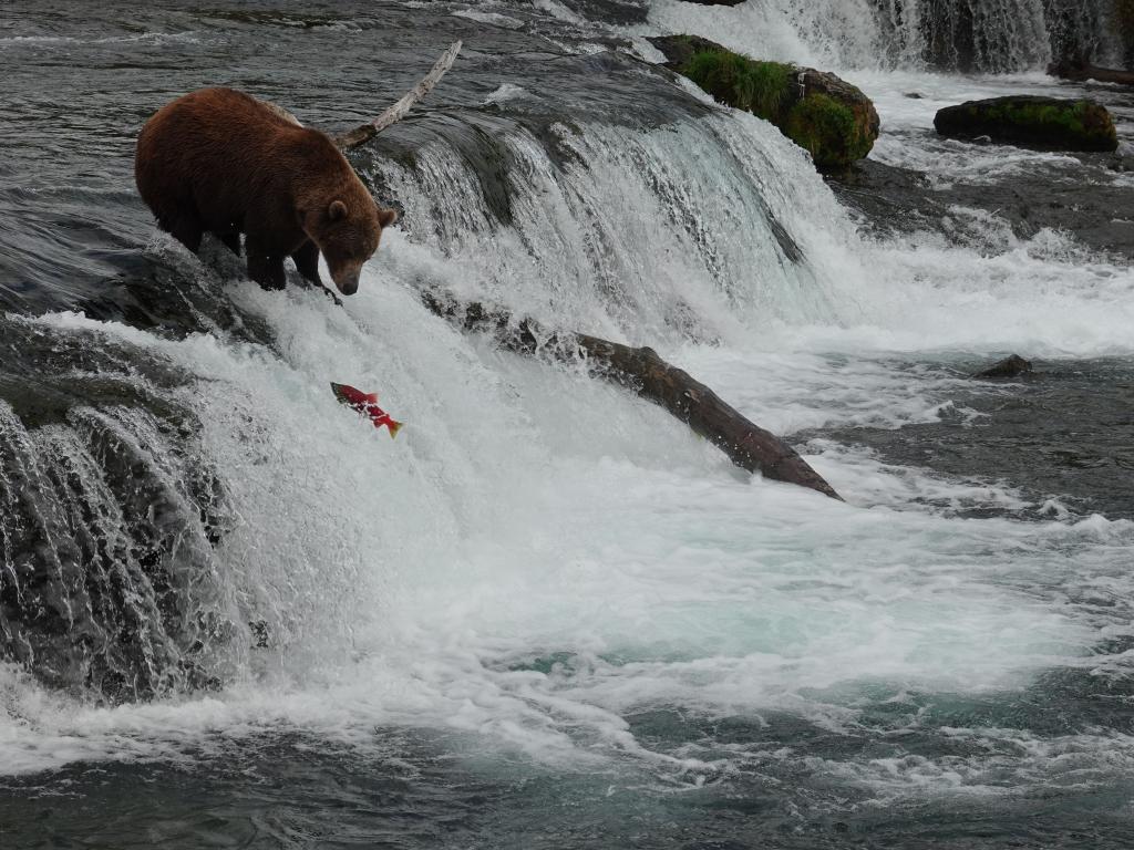 675 - 20190904 Day01 Katmai