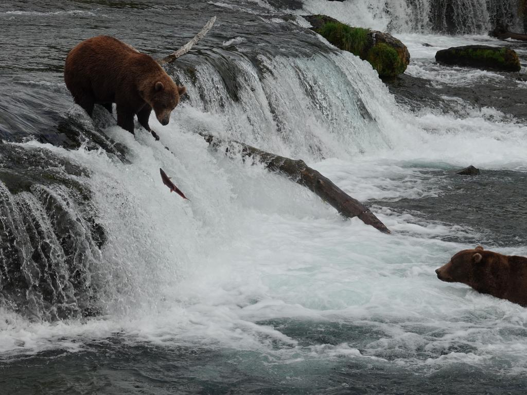 678 - 20190904 Day01 Katmai