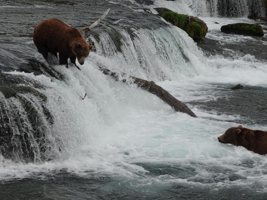 683 - 20190904 Day01 Katmai