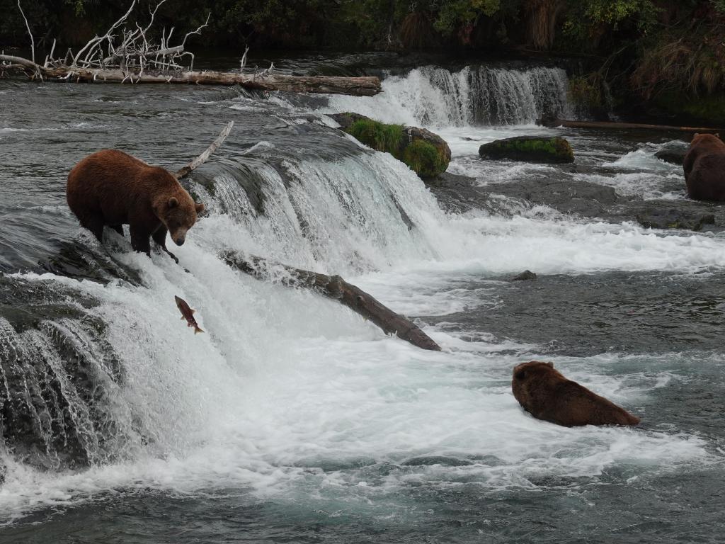 686 - 20190904 Day01 Katmai