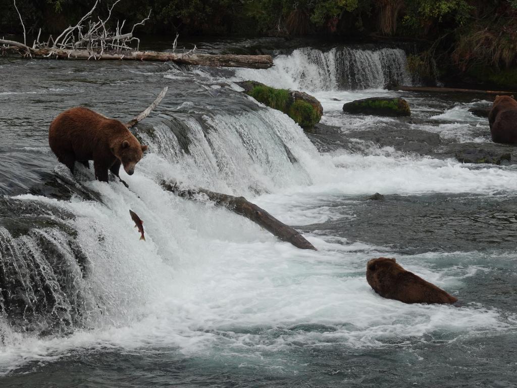 691 - 20190904 Day01 Katmai