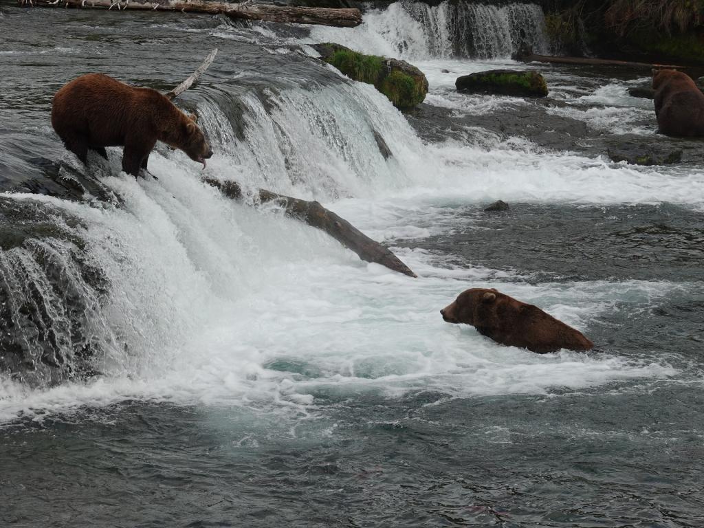 692 - 20190904 Day01 Katmai