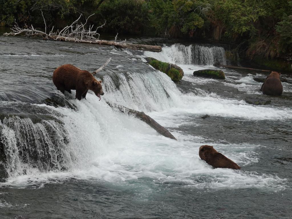 693 - 20190904 Day01 Katmai