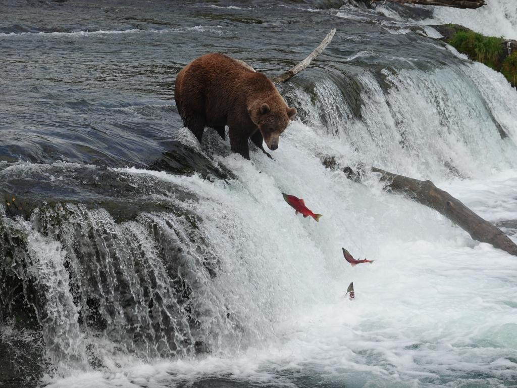 709 - 20190904 Day01 Katmai