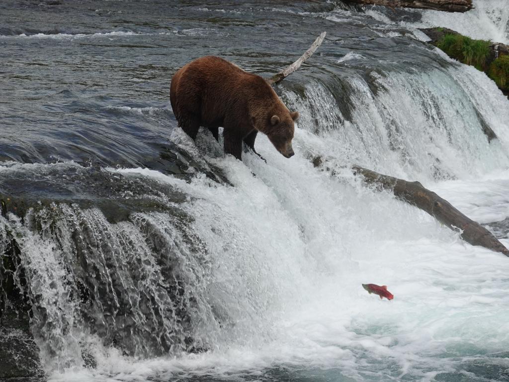 725 - 20190904 Day01 Katmai