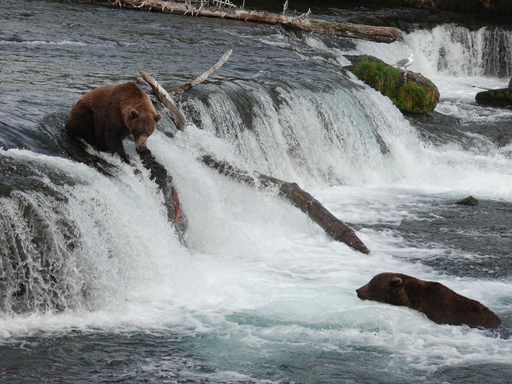 734 - 20190904 Day01 Katmai