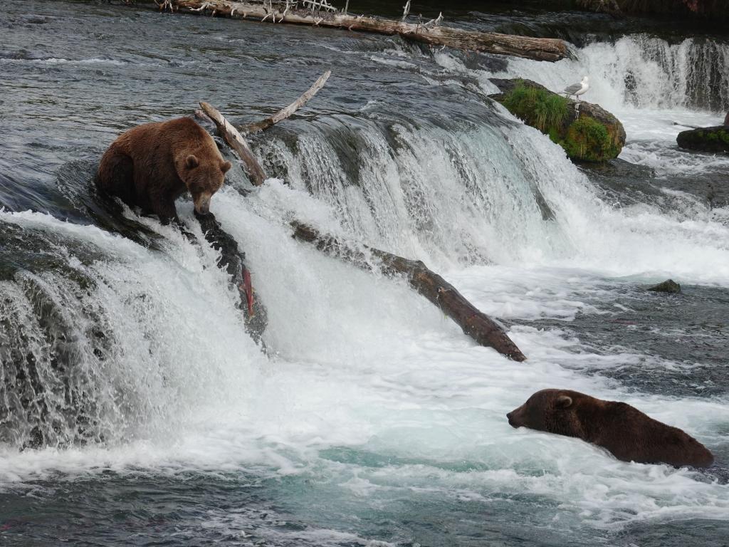 735 - 20190904 Day01 Katmai