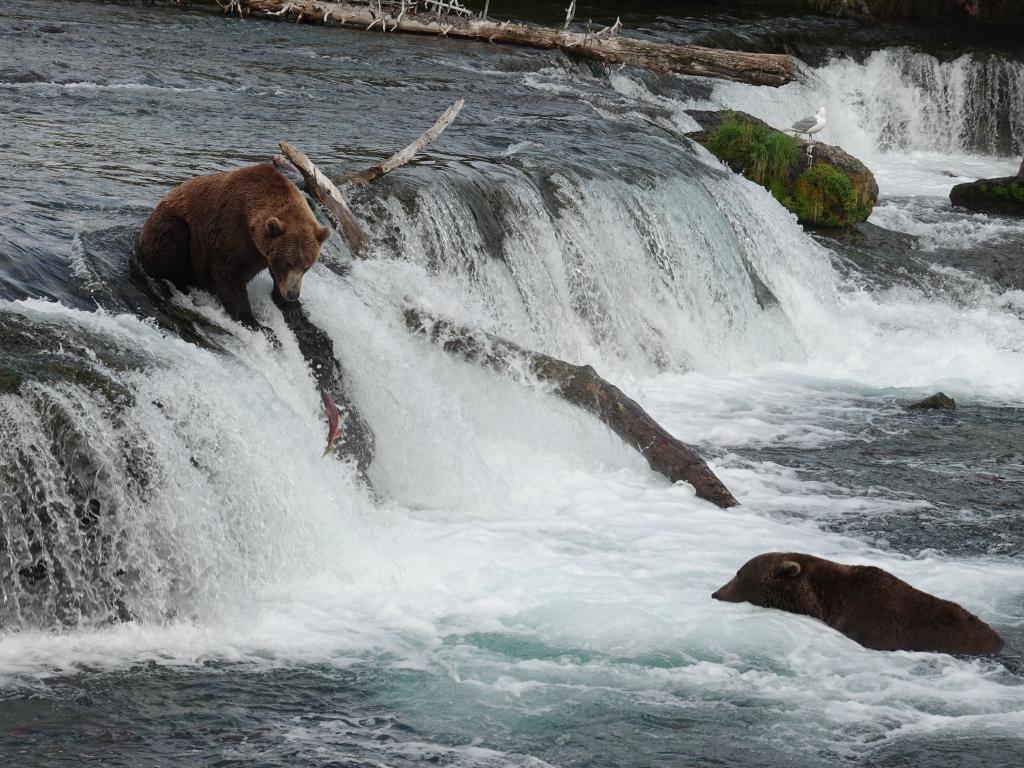 739 - 20190904 Day01 Katmai