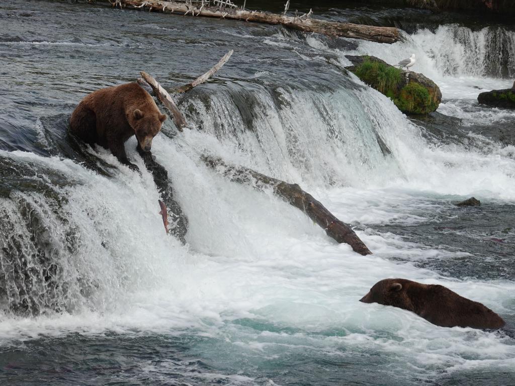 740 - 20190904 Day01 Katmai