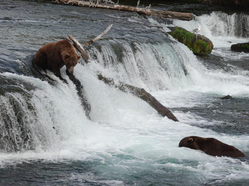 747 - 20190904 Day01 Katmai